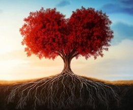 Ascendent BIK 2026 - Sončevo leto