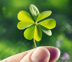 Ascendent STRELEC 2026 - Sončevo leto